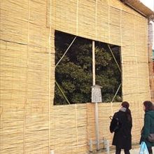 右近の橘です 右近橘 うこんのたちばな は 平安京の内裏にある紫宸殿正面の階段から見て右にあった橘の樹 左近桜に相対したものです By Kazukota 平安神宮のクチコミ フォートラベル 右近の橘です 右近橘 うこんのたちばな は 平安京の内裏にある紫宸殿正面の階段から見て右にあった橘の樹 左近桜に相対したものです By Kazukota 平安神宮のクチコミ フォートラベル