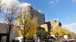 横浜のシャンゼリゼ通り