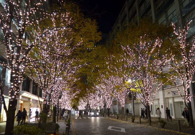 丸の内けや木通りのイルミネーション　まだ紅葉しています