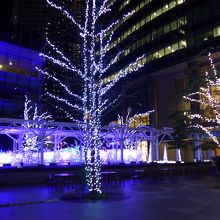 光が変化するイルミネーション