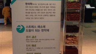 チャングムやホジュンの世界