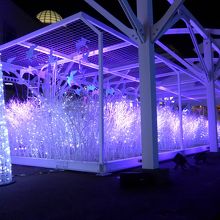 光の変化がとても奇麗です 