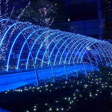 光の変化がとても奇麗です 