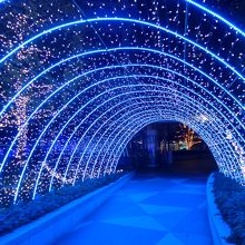 光の変化がとても奇麗です 