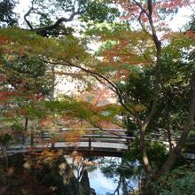 木橋もあって紅葉と良い景色になっている