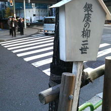 御門通りの交差点の角付近に植えられている柳の木です。