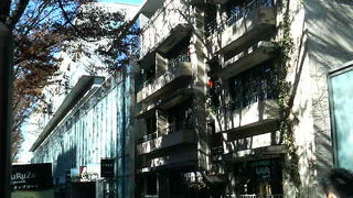 表参道の行列のできるポップコーン屋さん