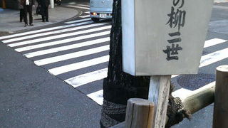 有志の方がよみがえらせた柳の木