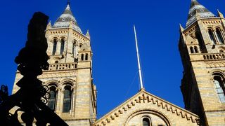 開店前から長蛇の行列