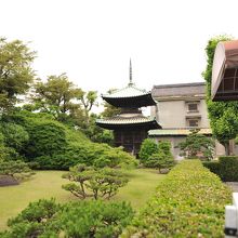 庭には多宝塔や茶室があります
