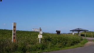 湖と海の絶景をサイクリングで楽しむ