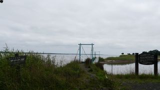 サンゴ草の鑑賞スポット