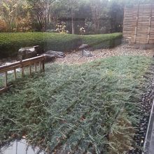 庭園?です。先ほどの写真の続きです。