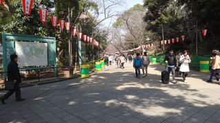 上野駅前・賑やかな公園