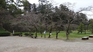 松山城を中心に緑が広がる
