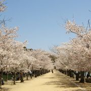 広いエリアですので公園散策には１時間はかかるかなと思います