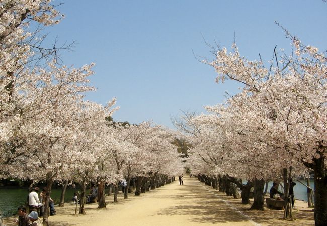 広いエリアですので公園散策には１時間はかかるかなと思います