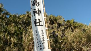 亜熱帯の植物に囲まれた神社