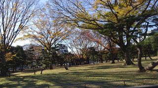 ながめても歩いても、気持ちのよい場所。