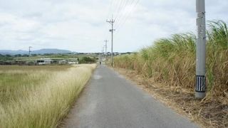 期待しすぎたのかな？