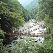 山間にかかる自然感満載の奇橋