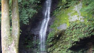 繊細な水の流れ