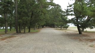 日本三景の浜に海水浴場「天橋立」。