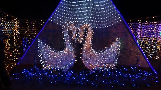 イルミネーションと冬の花火が楽しめる　