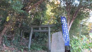 森の中の素朴な祠