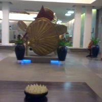 ボレイアンコールリゾート＆スパーのロービにて、きれいになった