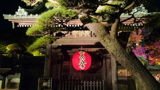 一年中お花のたえないお寺