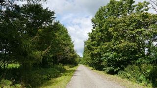 広大な牧場内にある展望台