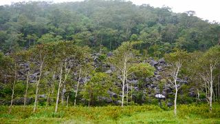 緑の中に広がる岩場