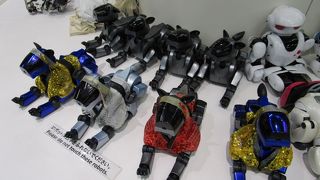 ロボスクエア　懐かしいアイボもいます
