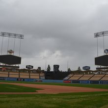 フィールドに降りて撮影