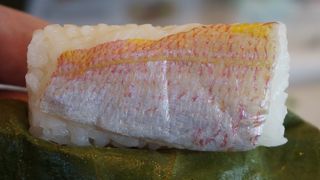 さば、たい、さけの寿司