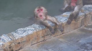 ホットステーション