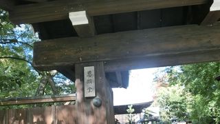 石畳脇の苔が美しい