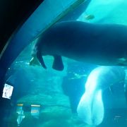 水族館になっています