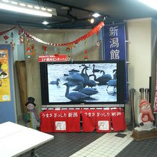 お店の奥では新潟の観光映像が流れていました。