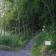 塘路湖・国道３９１号・釧網本線