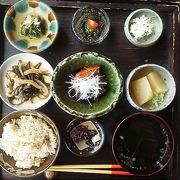 沖縄料理を満喫できます