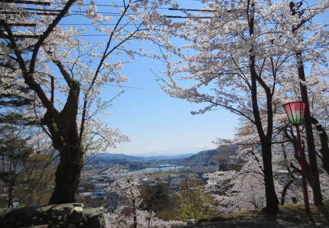 桜の名所です。