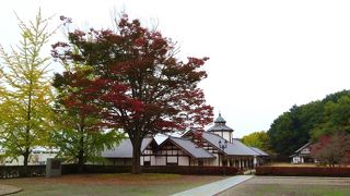 展示だけでなく敷地全体の雰囲気もよい