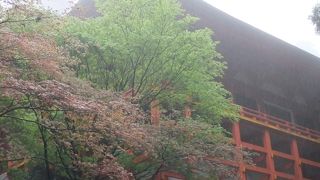 延暦寺の奥です