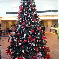 フロントにツリー