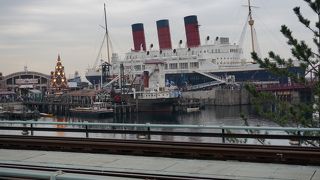 大きなクリスマスツリー