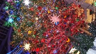 やっぱりツリーはきれいです