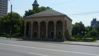 ドソフテイの家 (ヤシ)