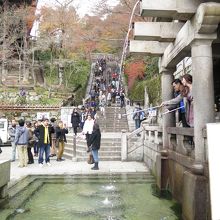 欲張っちゃいけませんよ。